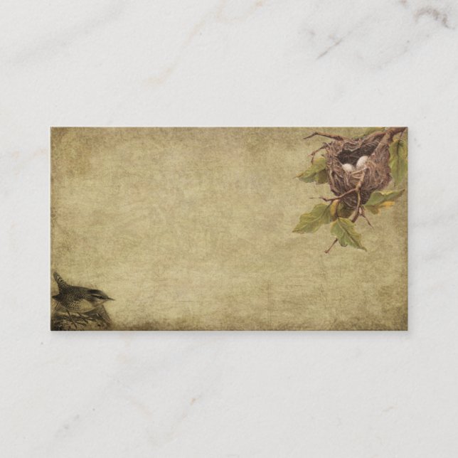 Le petit oiseau et birdnest les cartes de visite (Devant)
