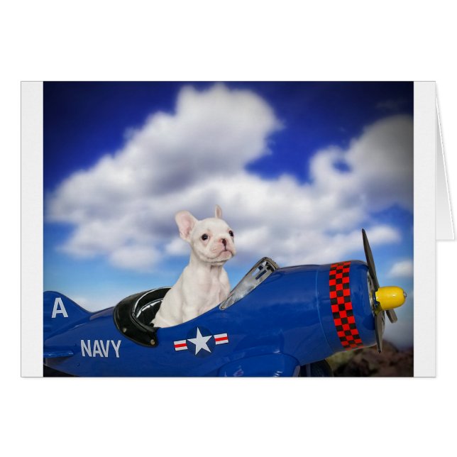 Le petit pilote (Devant horizontal)