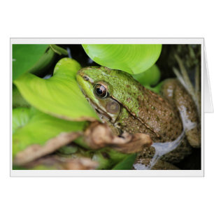 Le pinceau - Épingle