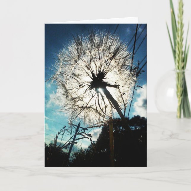 "Le pissenlit au soleil" Carte d'anniversaire (Devant)