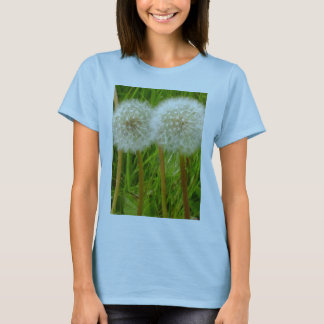 Le pissenlit synchronise le T-shirt