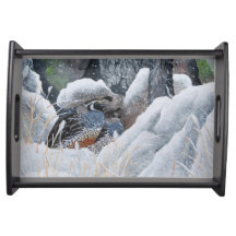 Le Plateau Confortable En Couple