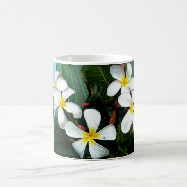 Le Plumeria hawaïen fleurit la tasse (Centre)
