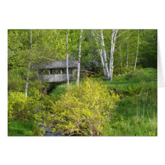 Le plus grand chêne