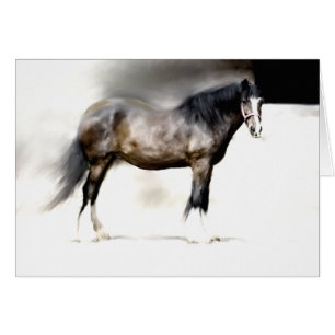 Le plus grand SHIRE CHEVAL de BERTHA