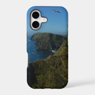 Le point d'inspiration d'Anacapa I dans les îles d