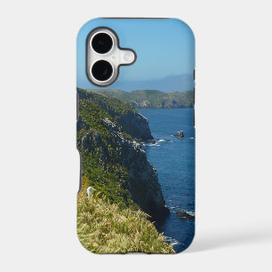 Le point d'inspiration d'Anacapa II aux Channel Is