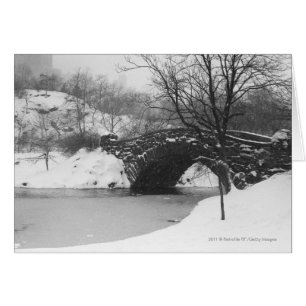 Le pont en pierre au-dessus de la neige a couvert