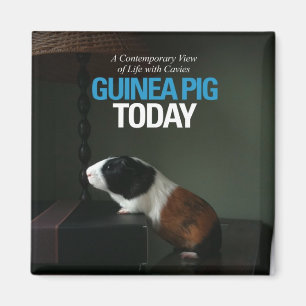 Le porc de Guinée aujourd'hui Magnet photo
