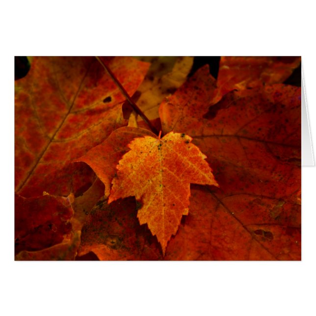 Le porche III de l'émeris (Devant horizontal)