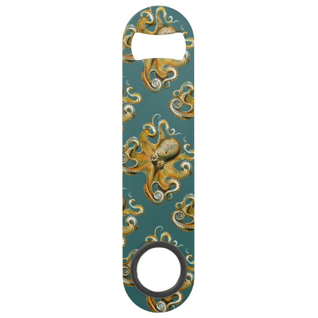 Le poulpe d'Ernst Haeckel (Devant)