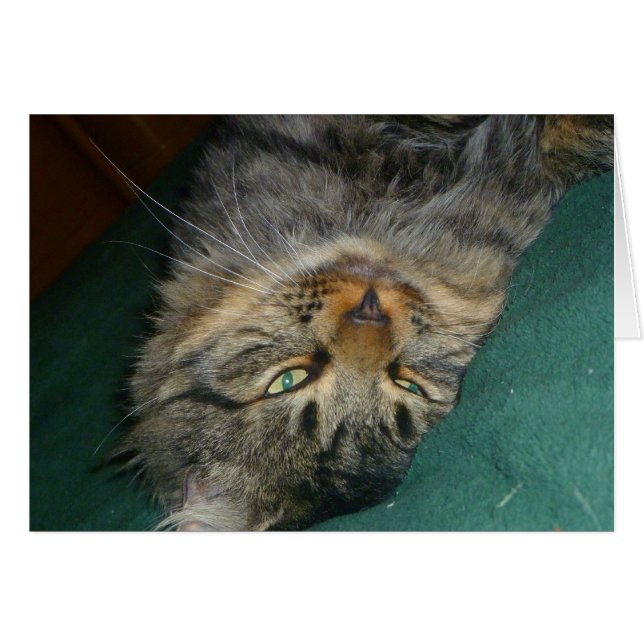 Le pourboire (Devant horizontal)