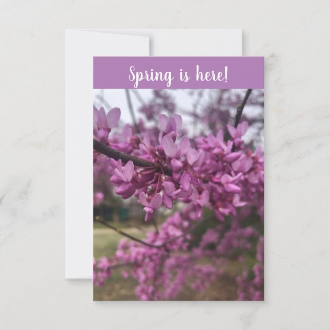 Le printemps est là ! Carte de voeux (Devant)