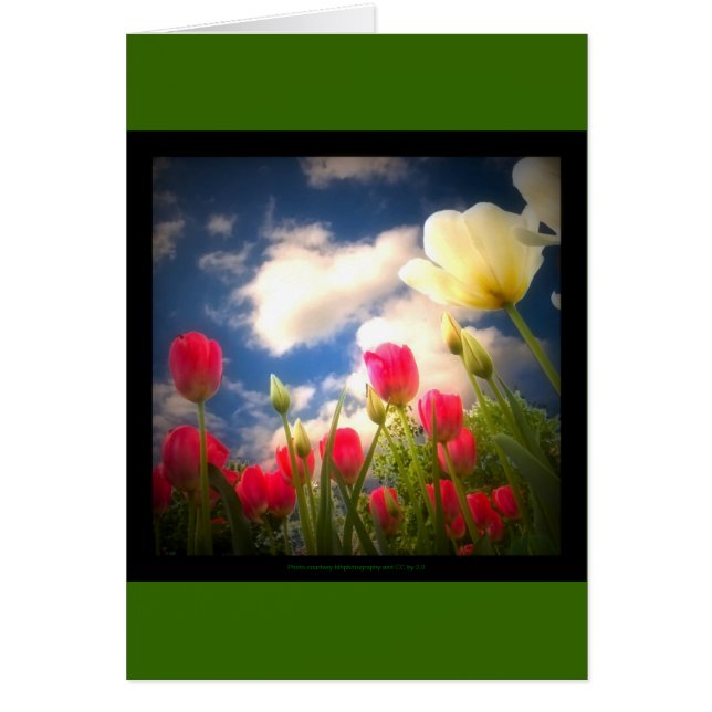 Le printemps fleurit la collection I (Devant)