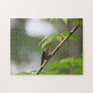 Le Puzzle amusant de la famille des colibris Watch