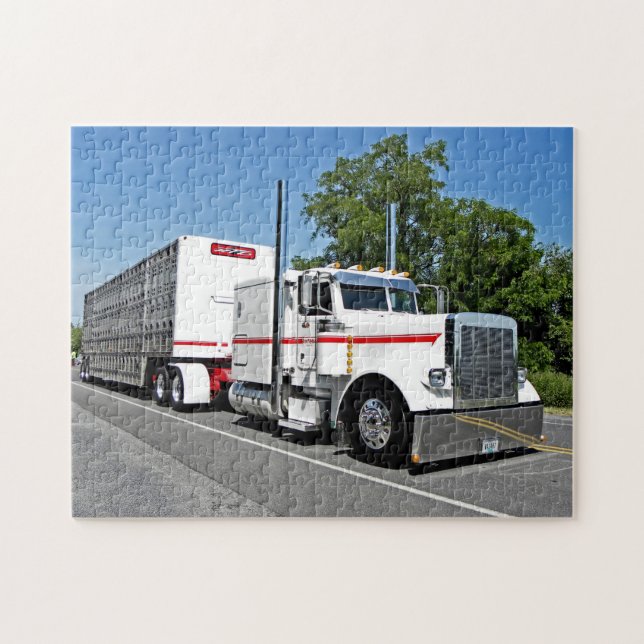 Le puzzle de Bontrager 379 (Horizontal)