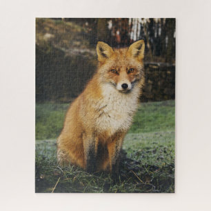 Le Puzzle de Fox