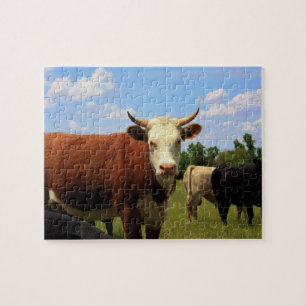 Le puzzle de la VACHE au KANSAS