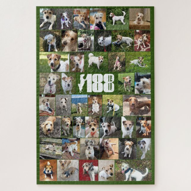 Le Puzzle de l'affiche du groupe de 188 Secours (Vertical)