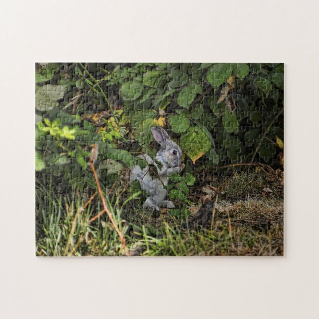 Le puzzle de lapin de velventine (Horizontal)