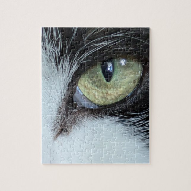 Le Puzzle de Xylo (Vertical)