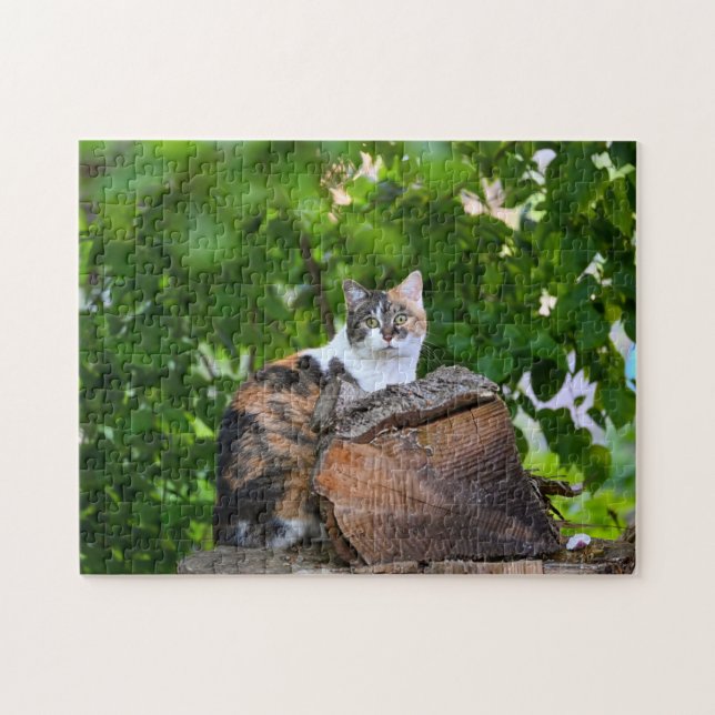 Le Puzzle du Chat (Horizontal)