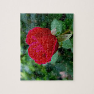 Le Puzzle Rose parfait