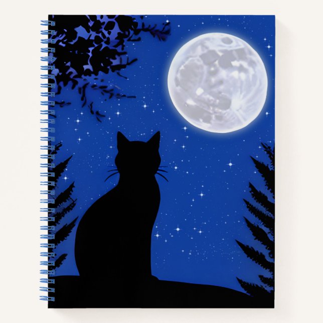 Le regard de chat au journal de la Pleine lune (Devant)