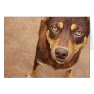 Le regard de l'amour