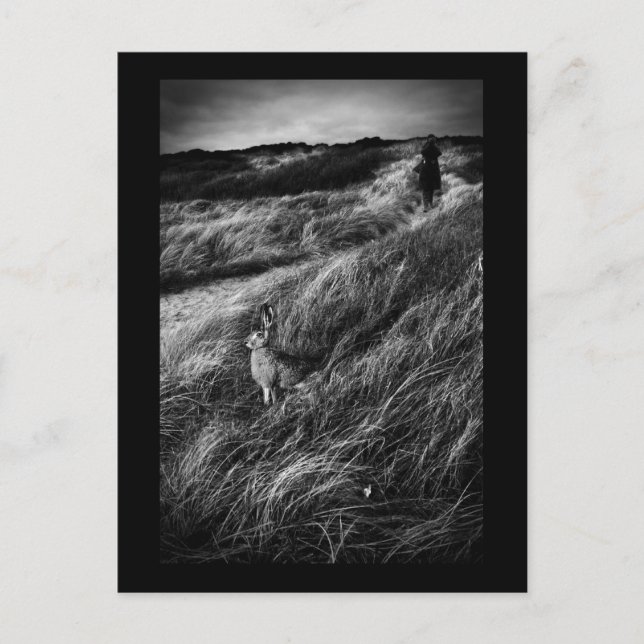 Le Rendez-vous d'Alice Wonderland fine art photo Postcard (Front)