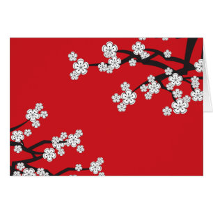 Le ressort blanc de Sakura de fleurs de cerisier