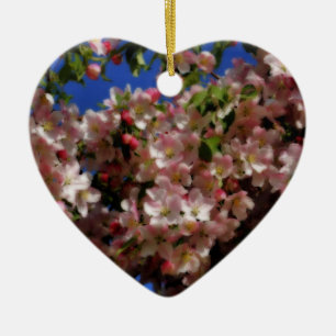 Le ressort rose se développe ornement de fleur