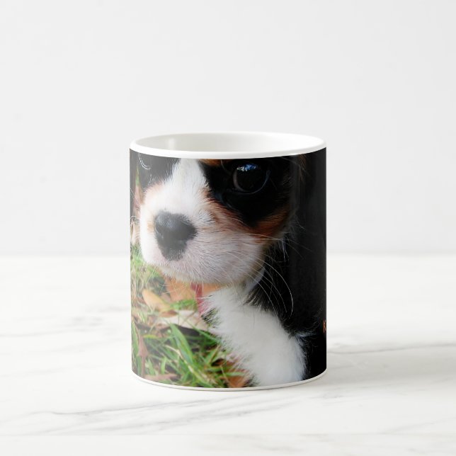 Le Roi Charles Cavalier Spaniel Mug (Centre)