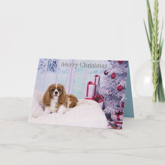 Le roi Charles Spaniel par la carte d'arbre de Noë (Devant)