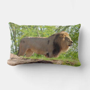Le roi de la jungle Lumbar Coussin (Lion)