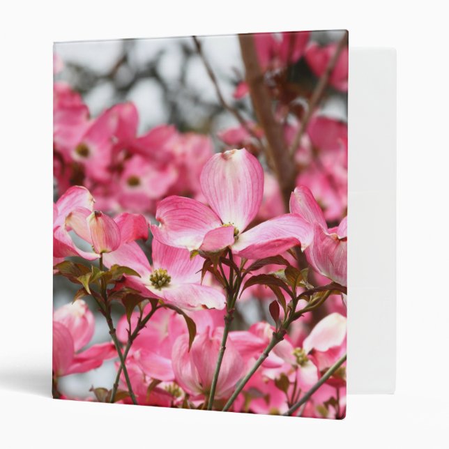 Le rose fleurit le classeur (Devant/intérieur)