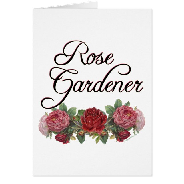 Le rose Gardener dit avec des Roses (Devant)