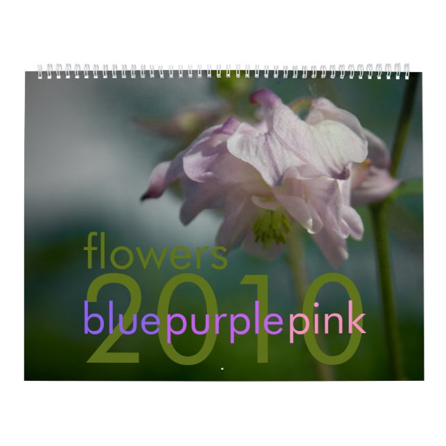 Le rose pourpre bleu fleurit le calendrier 2010 (Protection)