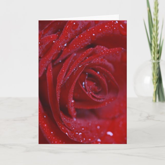 Le rose rouge avec de l'eau laisse tomber la carte (Devant)