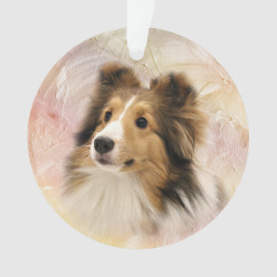 Le sable Sheltie font face