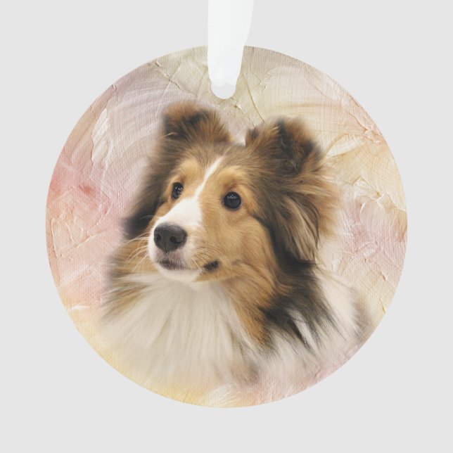 Le sable Sheltie font face (devant)