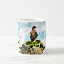 Le Saguaro a plongé dans la tasse de café de