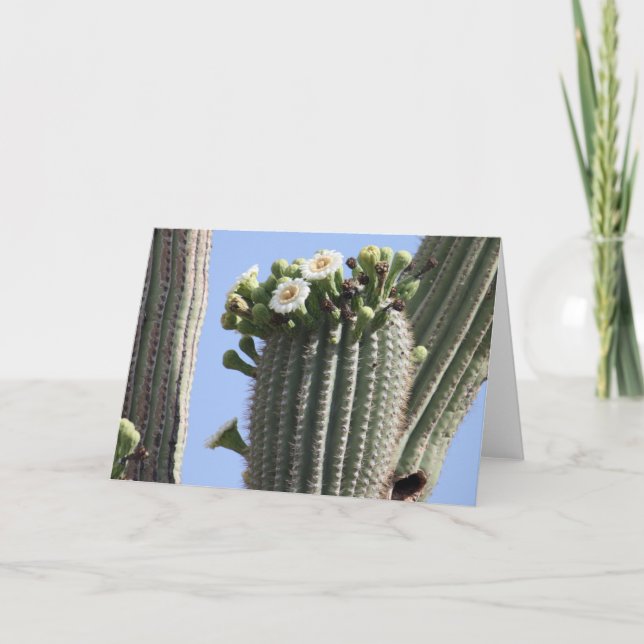 Le Saguaro fleurit carte de voeux (Devant)