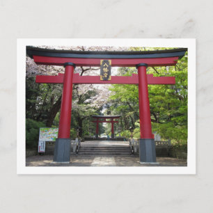 Le sanctuaire Omiya Hachimangu : carte postale de 