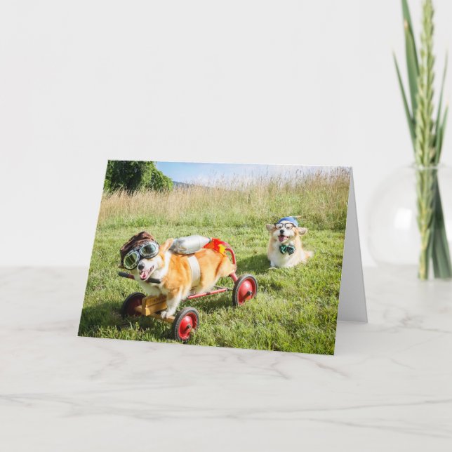 Le scientifique Corgis sur une carte d'anniversair (Devant)