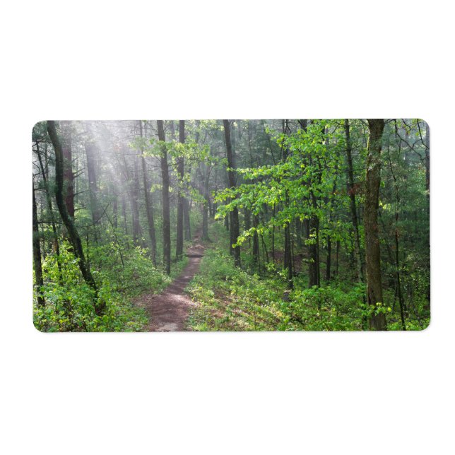 Le sentier de la Forêt de Misty à Castle Mound (Devant)