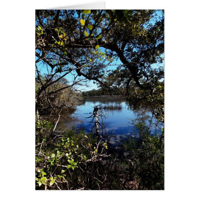 Le sentier Roosevelt à l'Aquarium (Devant)