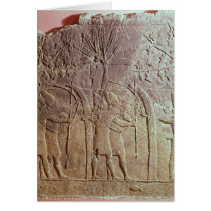 Le siège d'Alammu par l'armée de Sennacherib