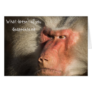 Le singe babouin en colère Ce qui ne vous tue pas