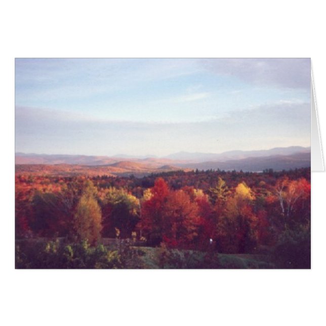 "Le soleil attrape les arbres" (Devant Horizontal)